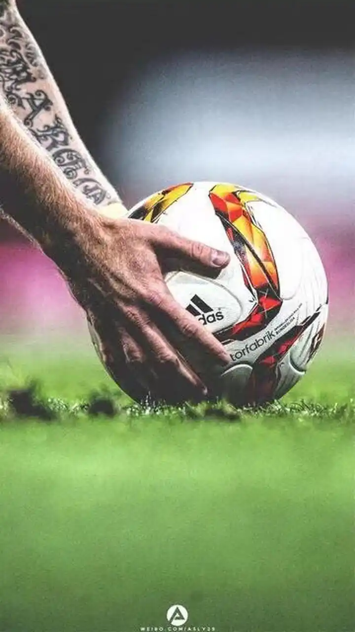 他的入选对 他的入选对