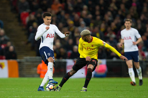 岁新星精彩 岁新星精彩